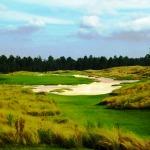 View of the course from the rough