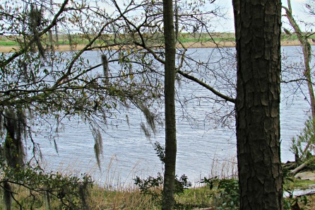 leland