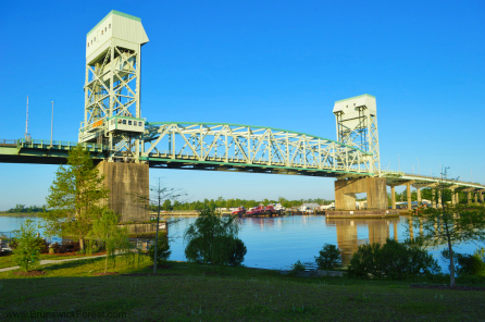 Cape Fear Memorial Bridge