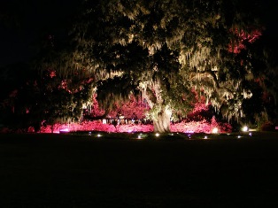 ENCHANTED EVENINGS AND EVENTS AT AIRLIE GARDENS, WILMINGTON, NC