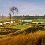 Golf course painted gold by sunlight