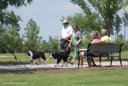 Couple walking their dogs in Kensington at Brunswick Forest