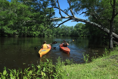 kayak