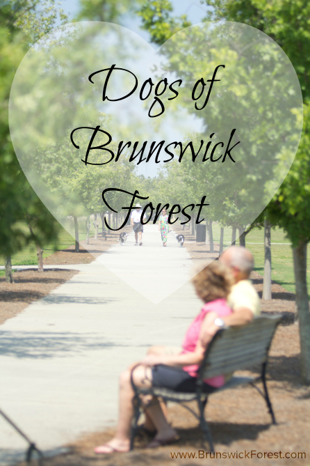 Dogs of Brunswick Forest