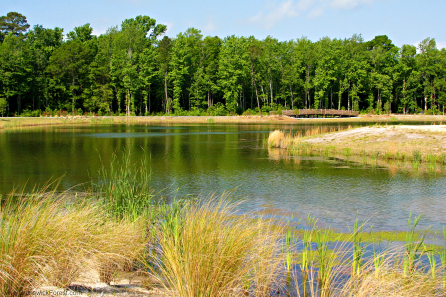 HAMMOCK LAKE