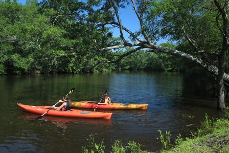 kayak