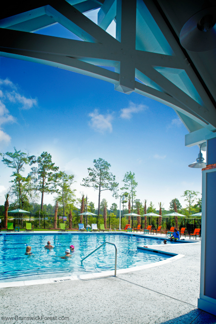 HAMMOCK POOL