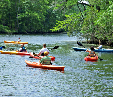 KAYAK