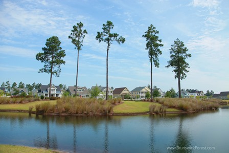 HAMMOCK LAKE