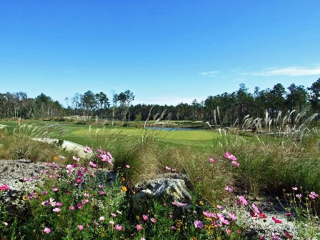 Cape Fear National Golf Course