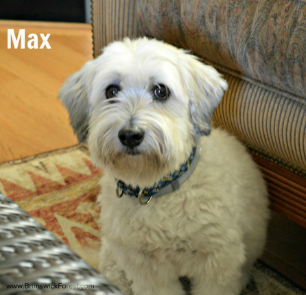 MAX