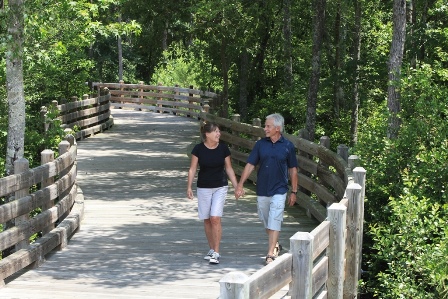 Walking trail