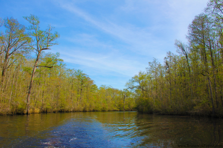 TOWN CREEK