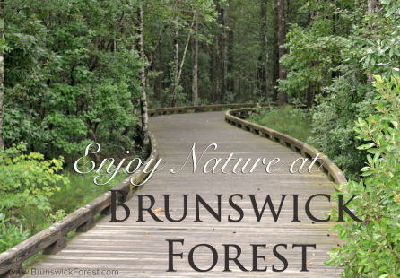 ENJOY NATURE AT BRUNSWICK FOREST