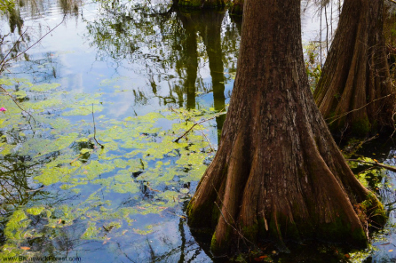 Greenfield Lake Park