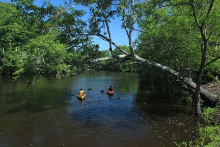 The River Club at Brunswick Forest