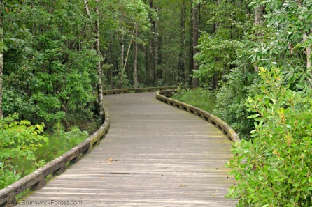 BRUNSWICK FOREST BOARDWALK