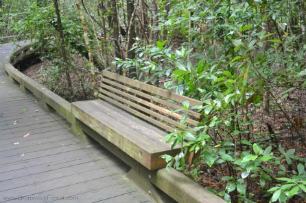 BRUNSWICK FOREST BENCH