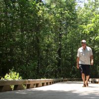 Man enjoying a walk on a wooden path