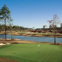 Aerial View of a green at Cape Fear National