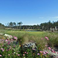 Flowers in the rough at Cape Fear National