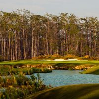 View of course from a cross water hazard