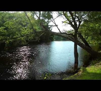 Click to view our video