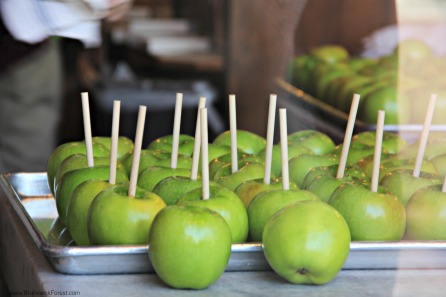 CANDIED APPLES