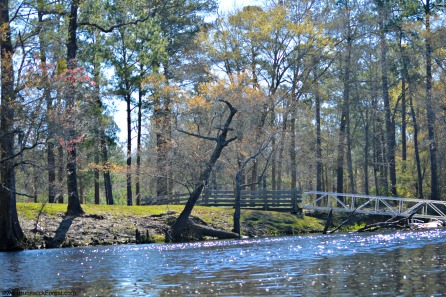 KAYAK RIVER