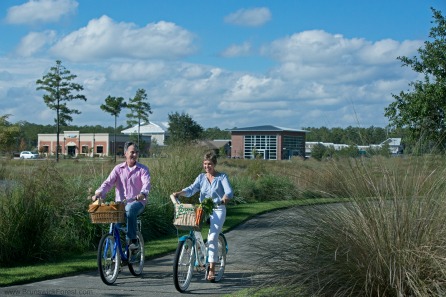 biking basket