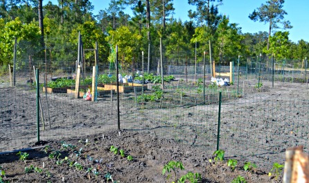 GARDEN PLOTS