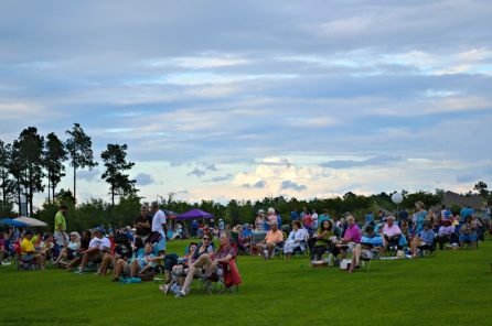 Concert at the park