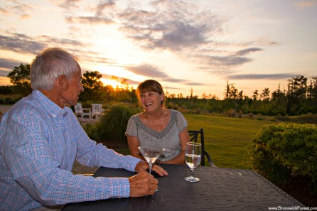 SUNSET DRINKS