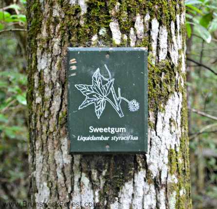 SWEETGUM SIGN