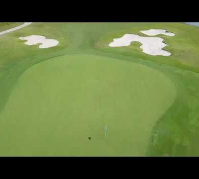 Hole 15