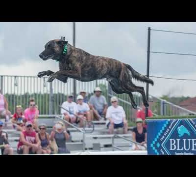 Dock Dogs Recap 2