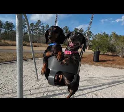 Dog Park at Brunswick Forest