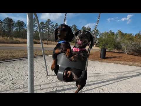 Dog Park at Brunswick Forest