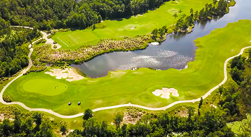 Cape Fear National Aerial Photo