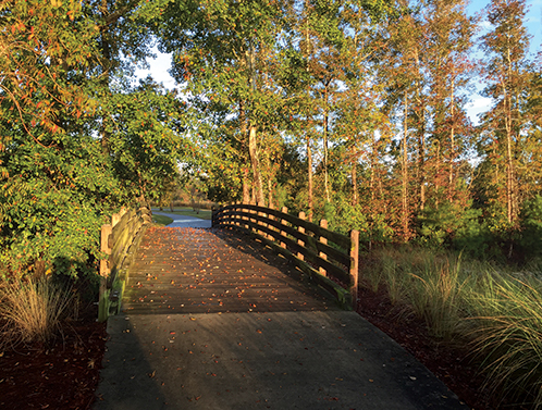 Empty bridge surrounded by nature - Low Noise Levels in Brunswick Forest Blog Featured Photo