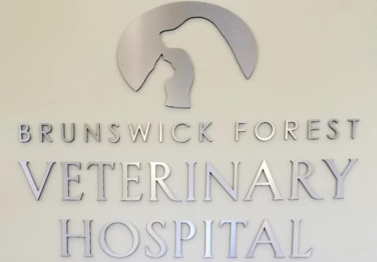 Brunswick Forest Veterinary Hospital Celebrates 12 Years